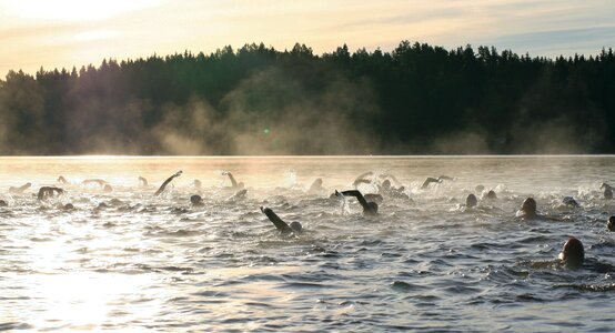 Open water swimming wet suit lake photo
