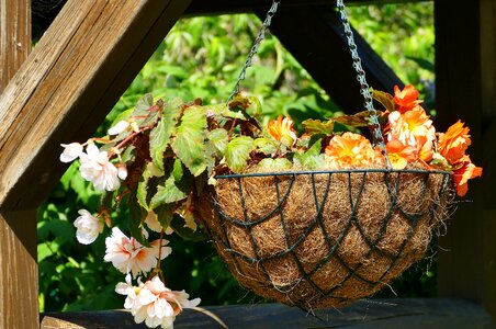 Braid hanging basket garden