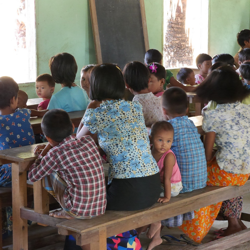 School children learn