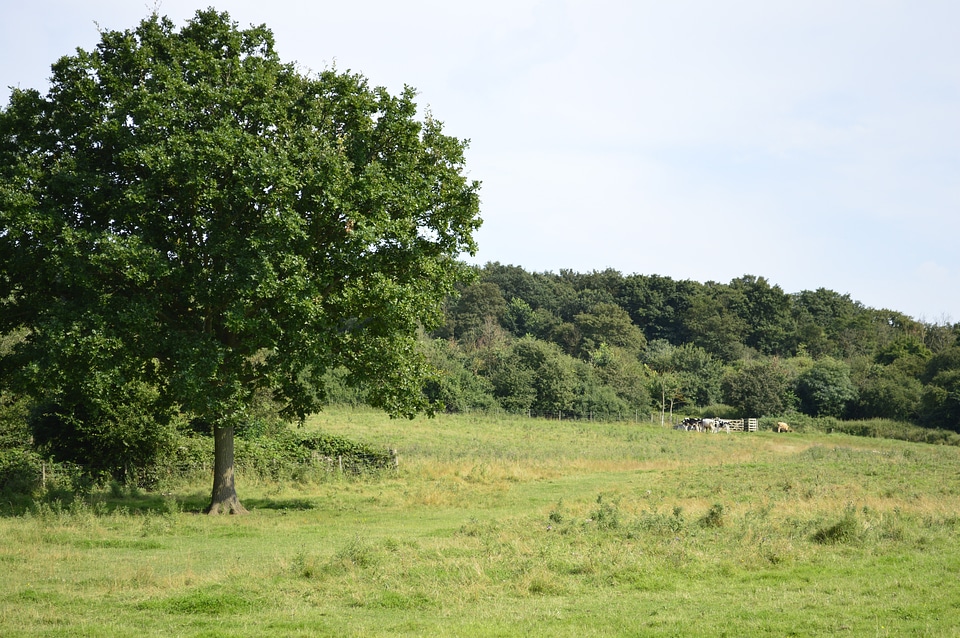 Nature outside rural