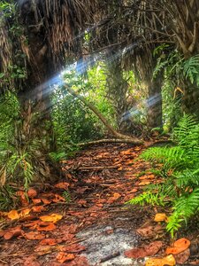 Landscape usa green