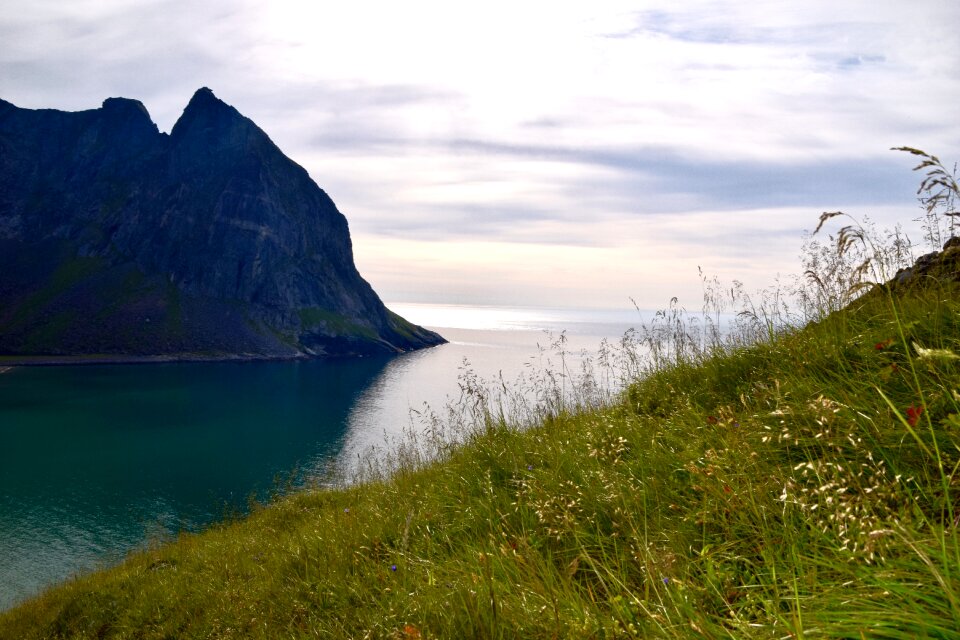 Nature summer mountain