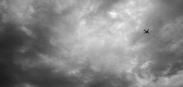 Fly loneliness minimalist