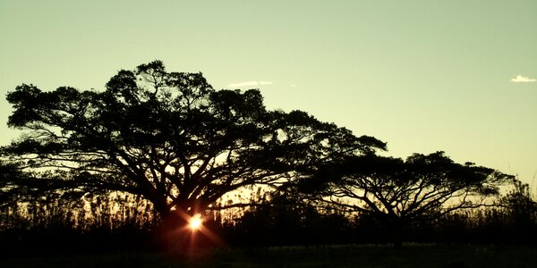 Sunset lawn serra gaucha