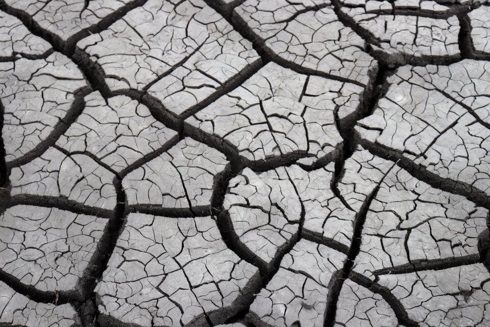 Cracked mud ground dirt