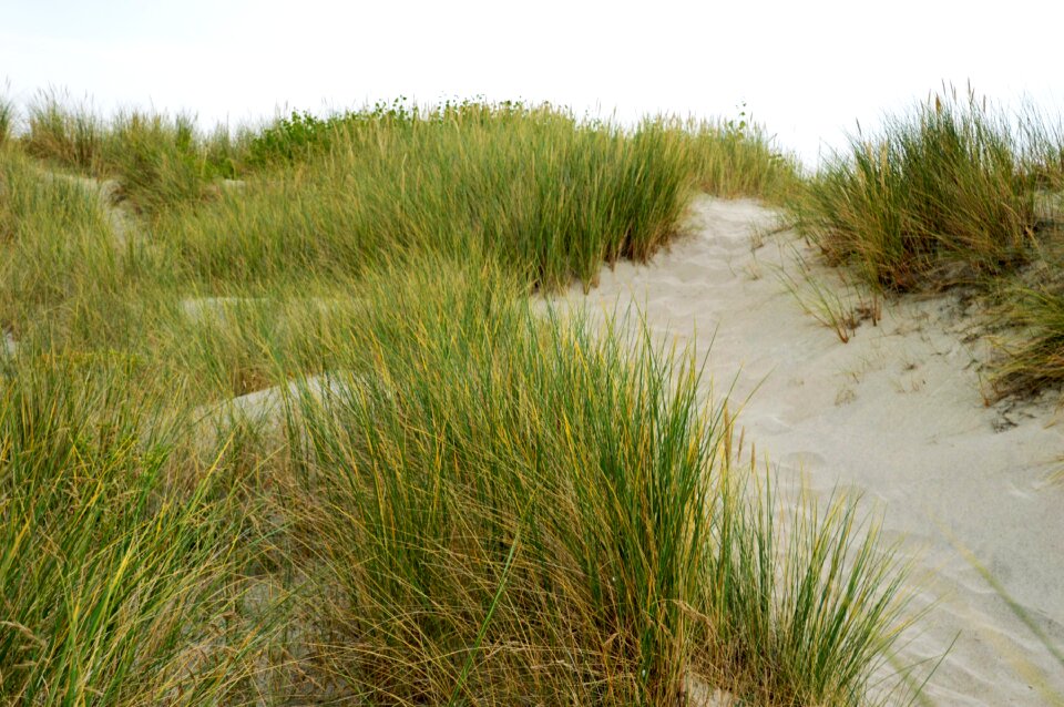 Hauts de france resort sand