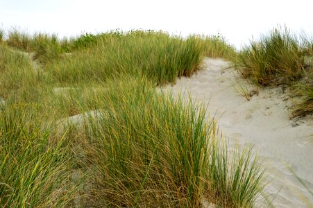 Hauts de france resort sand