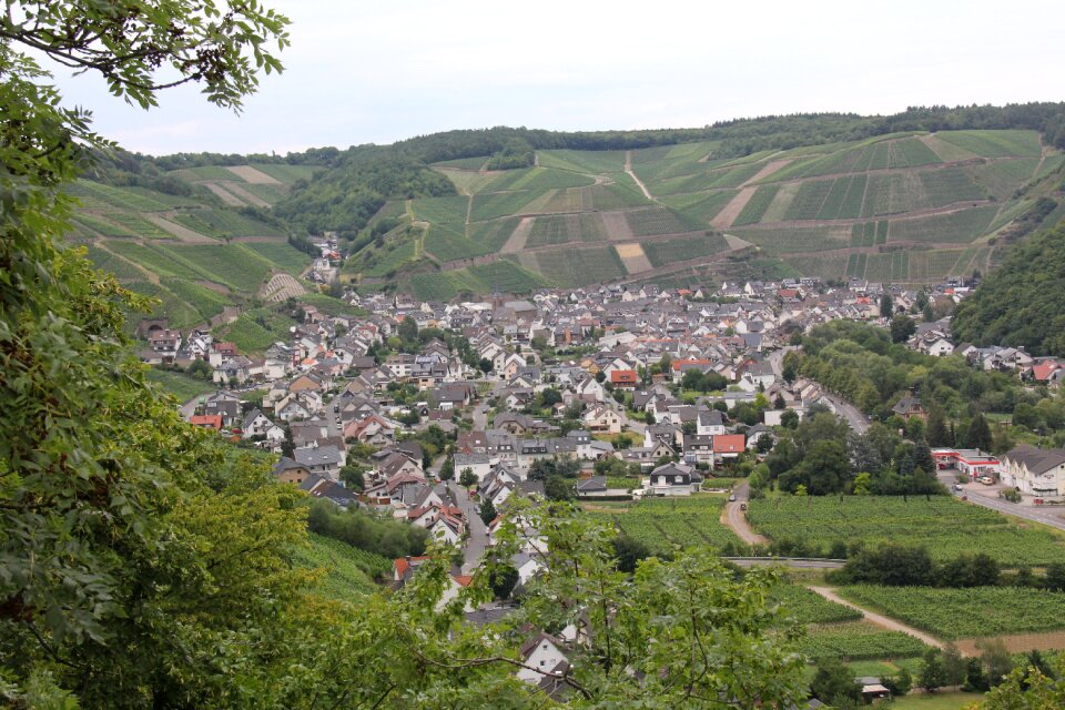 Summer sachsen landscape