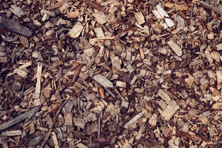 Brown forest planing