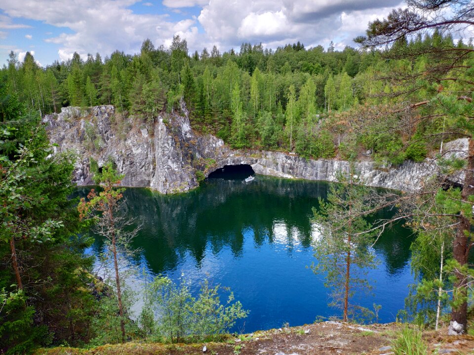 Forest russia sibirya