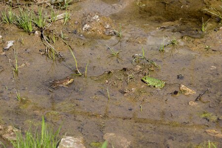 Nature water landscape