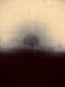 Foggy gloomy spooky
