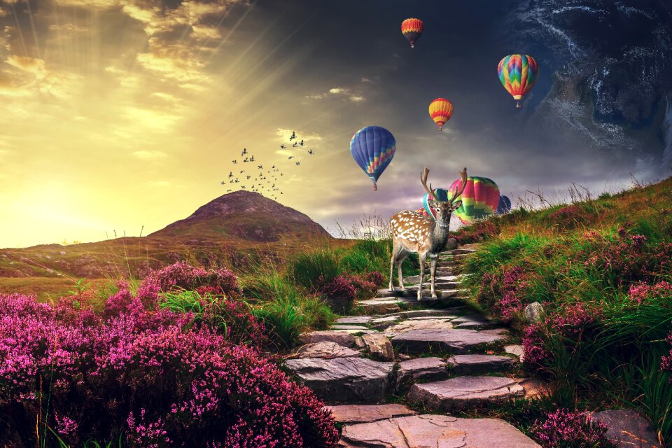 Deer air ballons sunrise