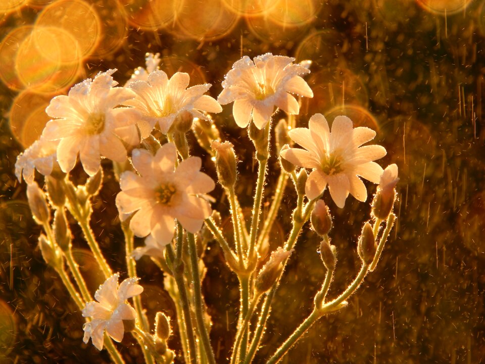 Beautiful the background light