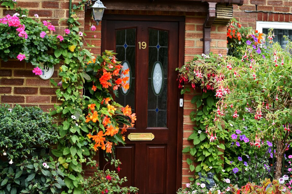 Garden flowers english photo