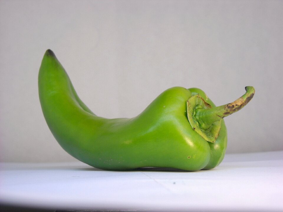 Vegetable russian plant