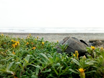 Soil sand sea