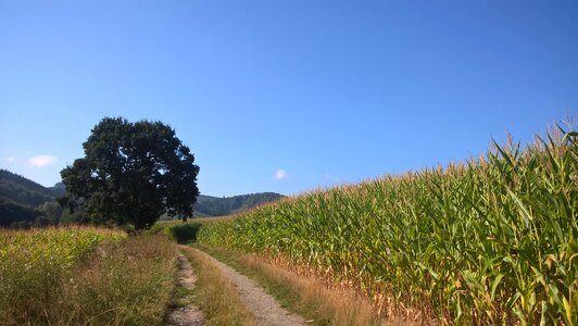 Landscape away nature