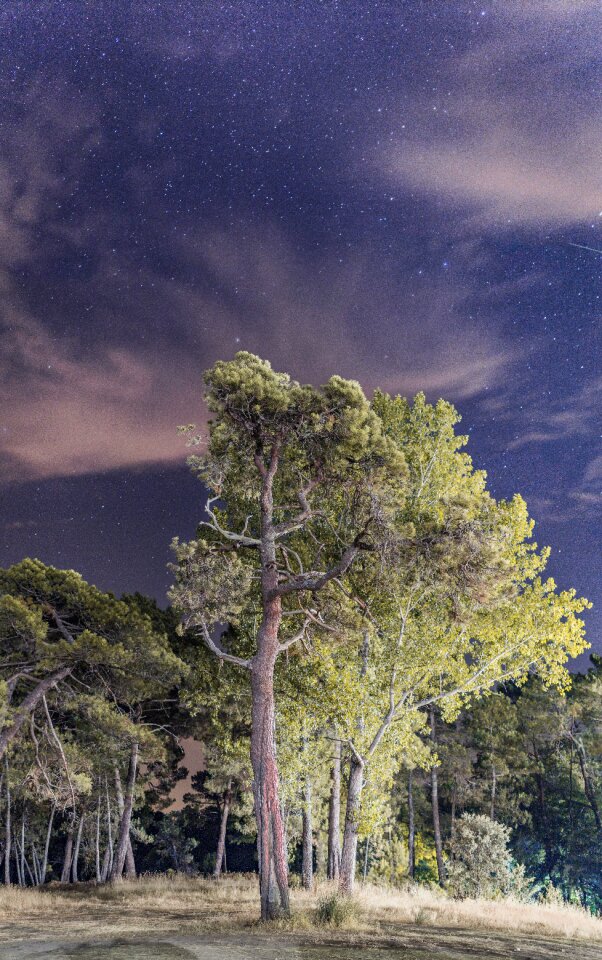Star sky clouds