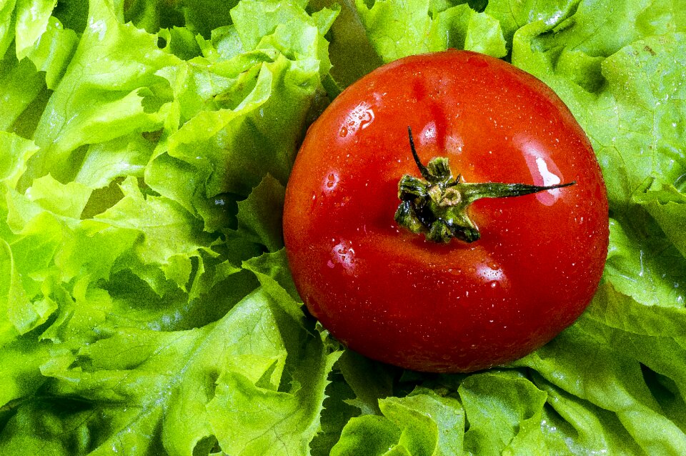 Food healthy lunch photo