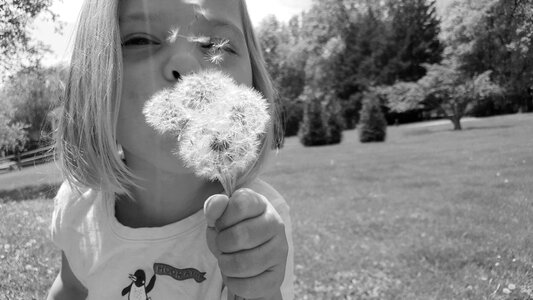 Weed black and white