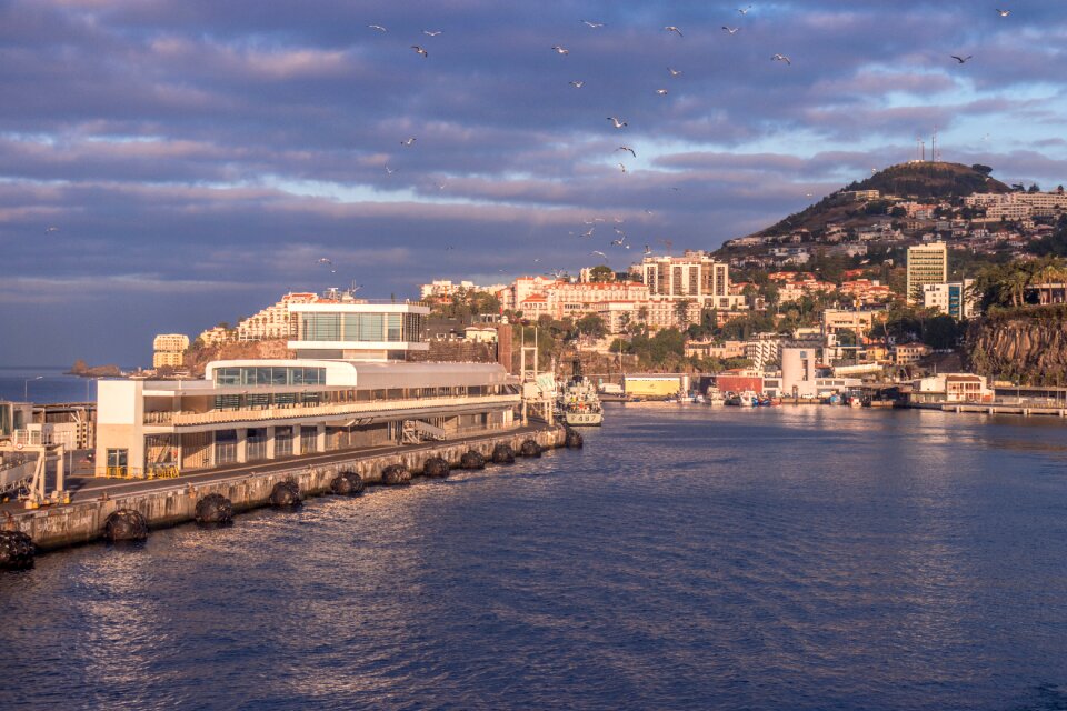 Ocean cityscape marina