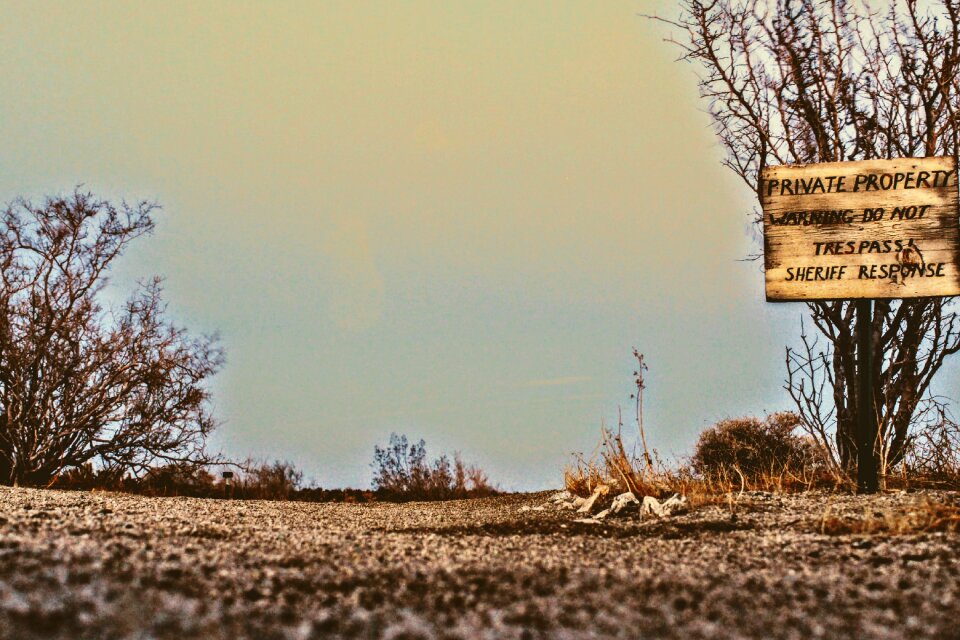 Plants low angle vintage