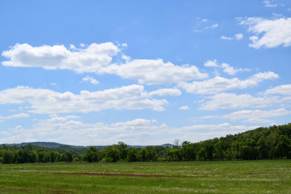 Peaceful landscape field