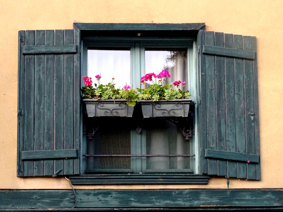 Flower box amiens architecture
