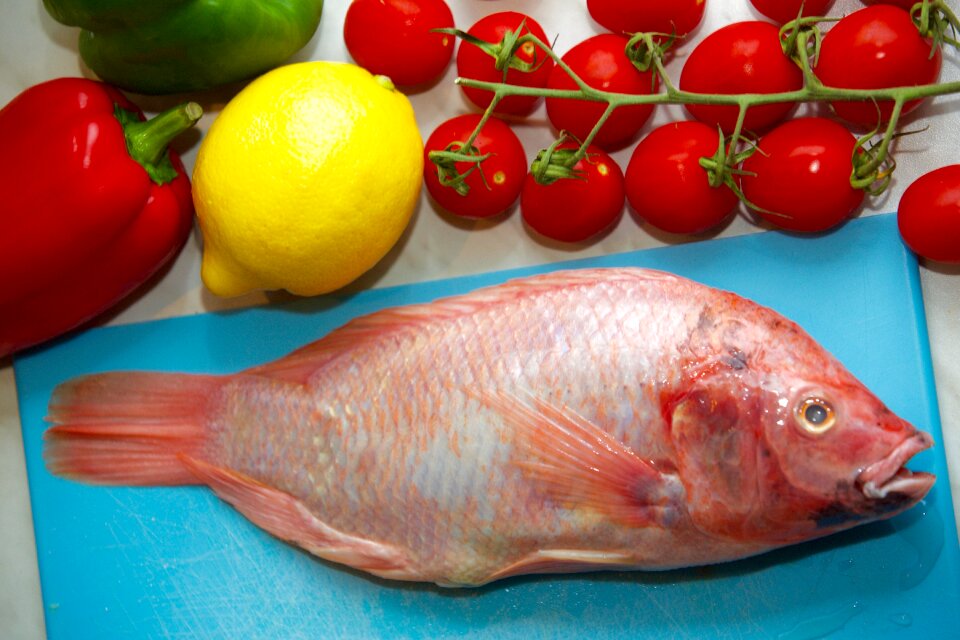 Fish tomatoes tasty food