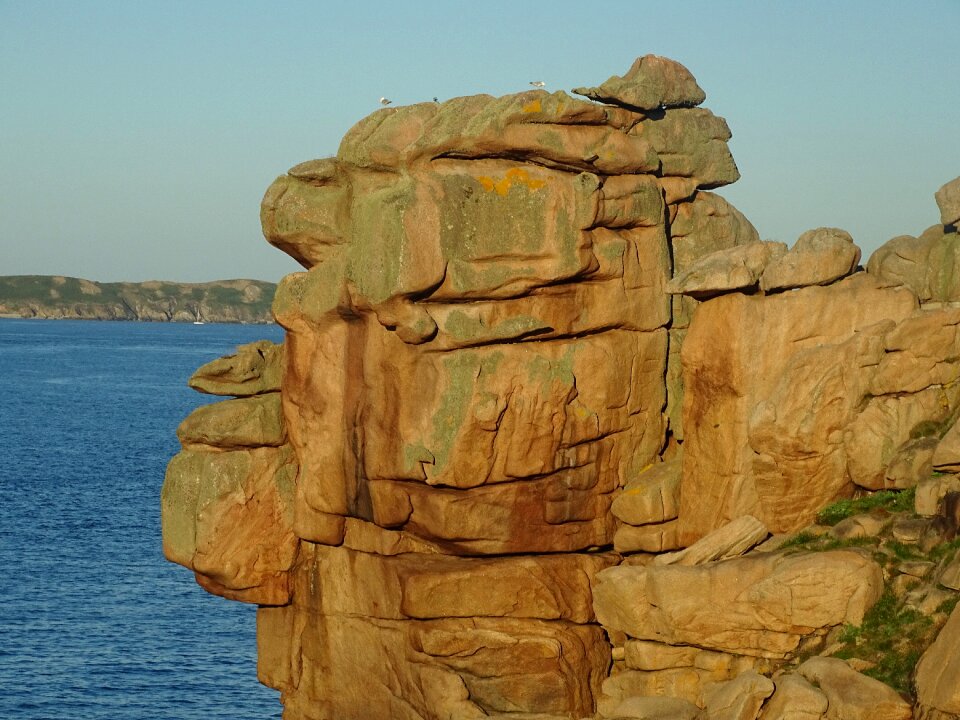 Head landscape nature