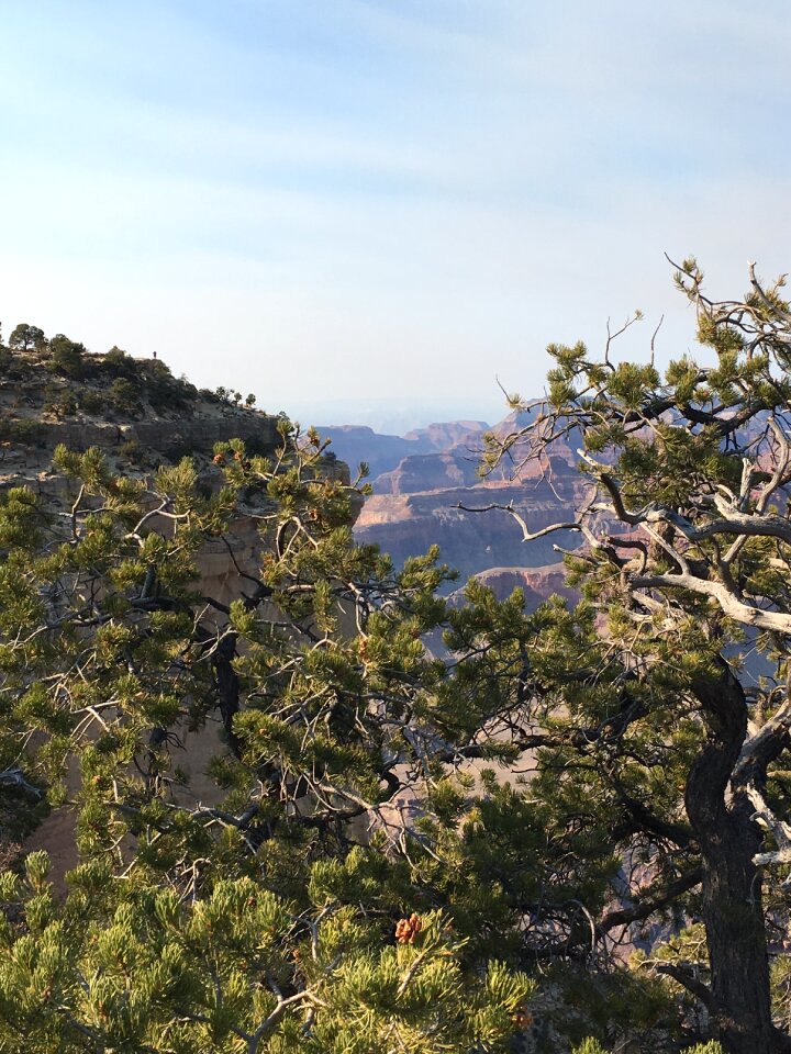 Arizona scenery