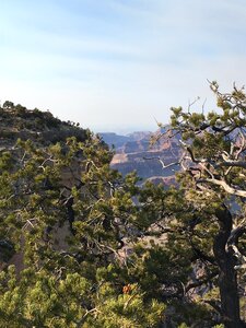 Arizona scenery
