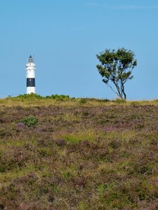 Erika island north sea