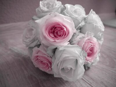 Romance flower rhinestone roses photo