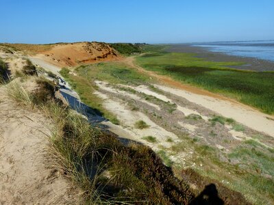 Beach nature dunes photo