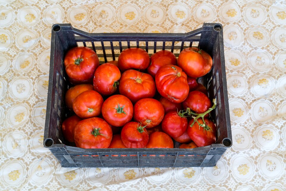 Food healthy nutrition