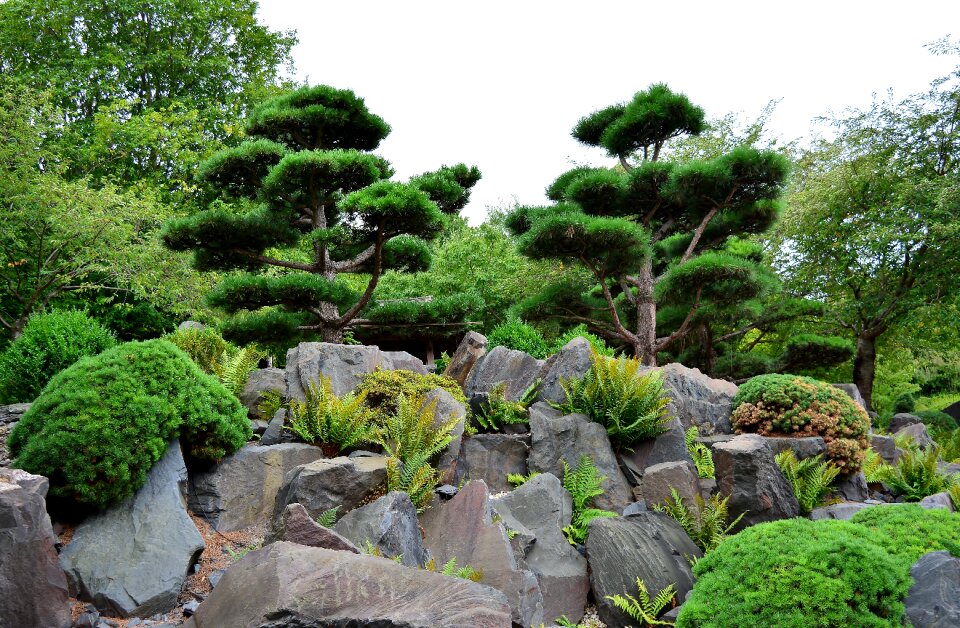 Japanese garden rock thuringia germany