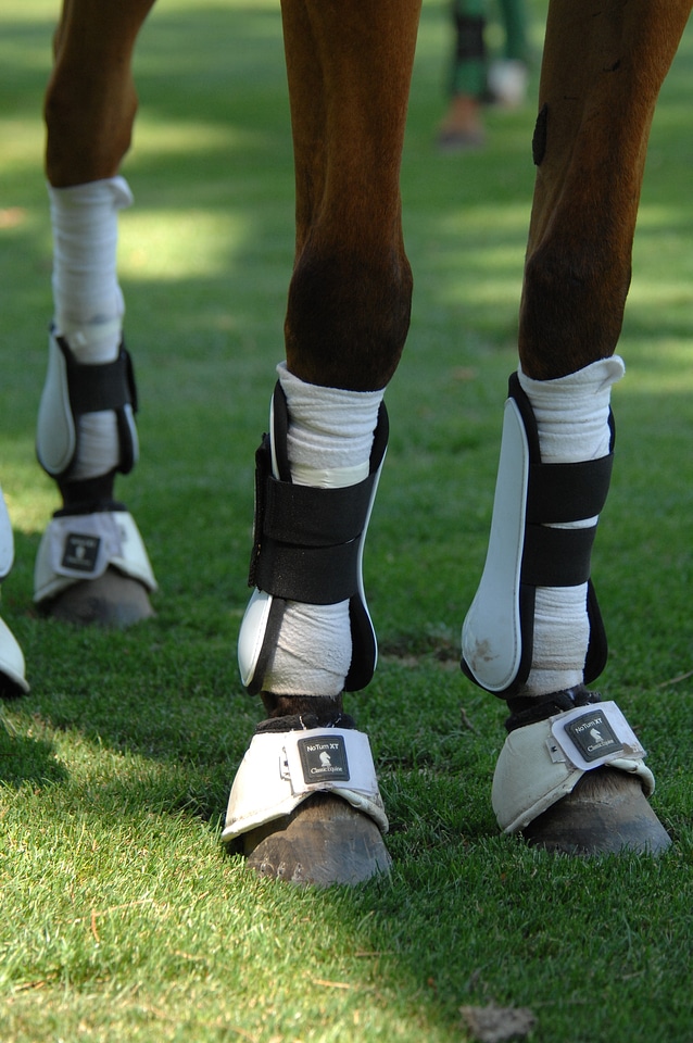 Sports protection macro