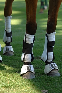 Sports protection macro