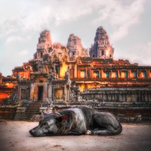 Ruin cambodia architecture photo