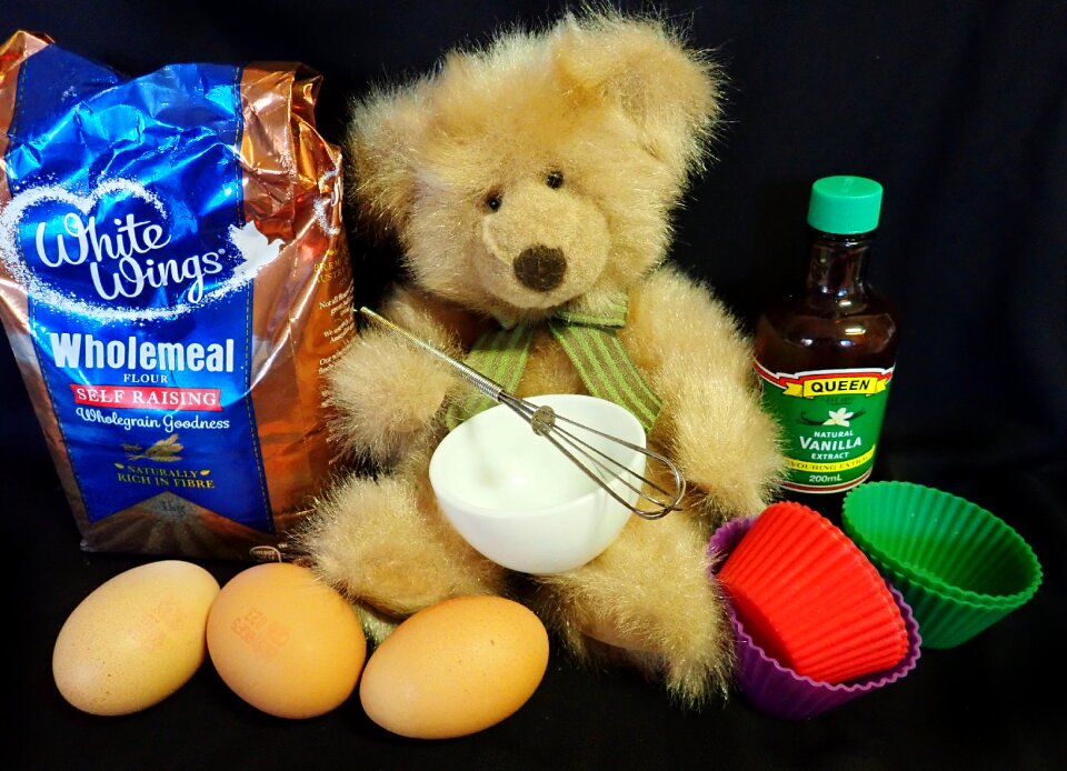 Bear cooking food preparation