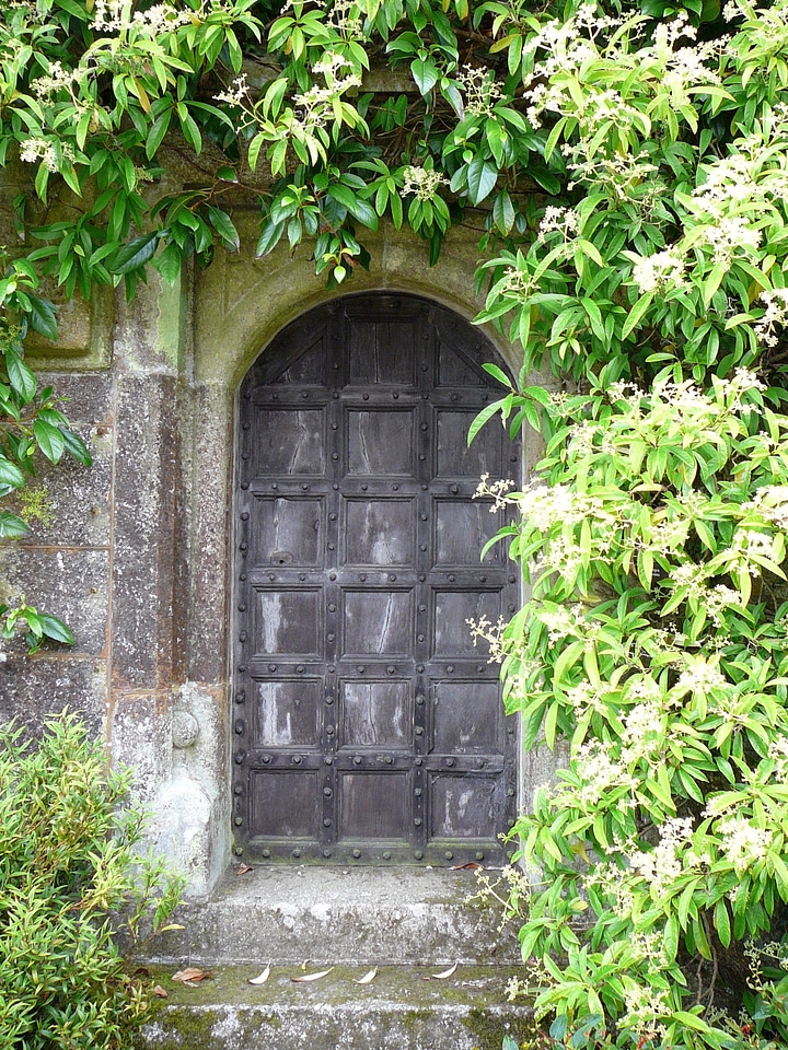Garden door front door