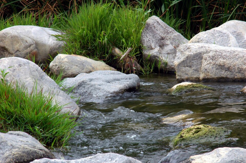 Scenic stream wilderness