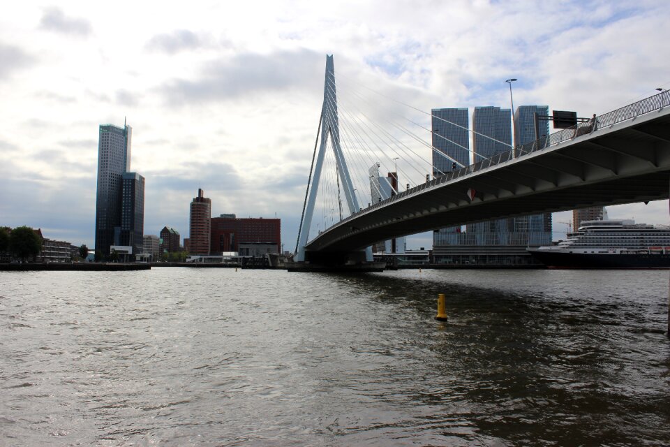 Erasmus bridge new mesh south holland