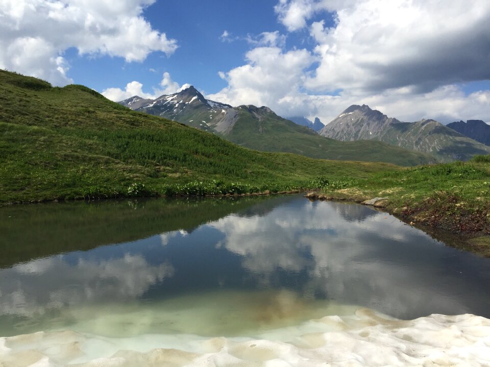 Summer step landscape