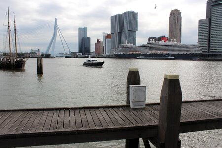 Erasmus bridge new mesh south holland