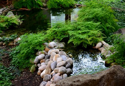 Japanese garden water landscape stones photo