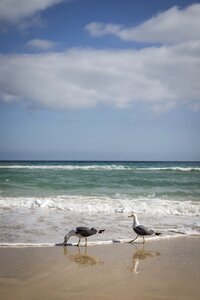 Beach sea waves