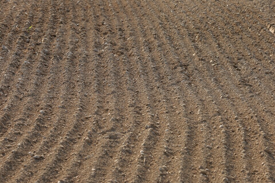 Dry texture agriculture